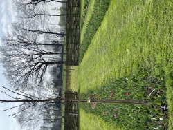 IMG_6313.jpeg