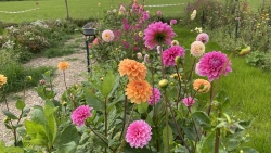 IMG_0088.jpeg
