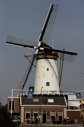 DSC_5388.jpg