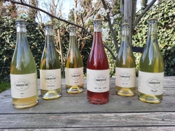 Ciders 2020 Foto - Copy.jpg