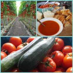 CollageMaker_20200822_102209101.jpg