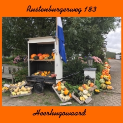 Pompenen en Kalebassen kar.jpg