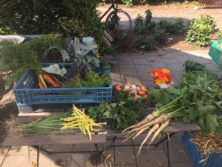 2018-08-02 09.56.58.jpg