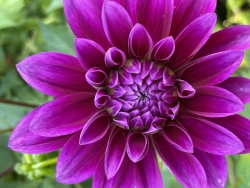 IMG_4088.jpeg