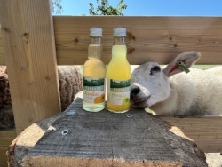 kleine flesjes sap incl schapen.jpg