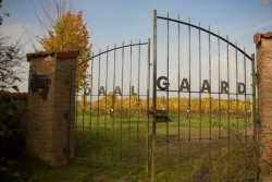 600-dg-001.jpg