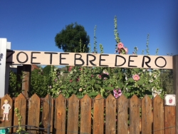 Bord zoetebredero in tuin.JPG