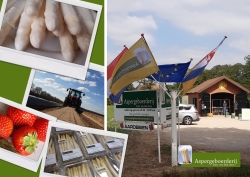 aspergeboerderij van den goor verse asperges aardbeien eieren groene asperges.jpg