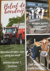 Flyer 1.jpg