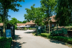 2015_07_Schurenhof-005.jpg