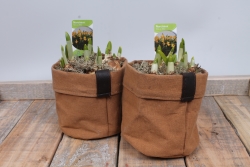 Textiel plantenbakje met narcissen.JPG