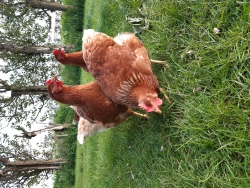 20200430_194318 - kopie.jpg
