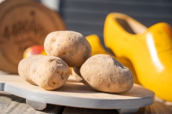 Aardappelen met klomp.1.jpg