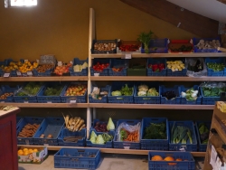 P1000854.JPG
