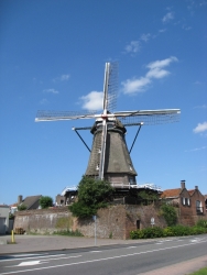2010-08-03_06.JPG