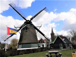 molen voor poster.jpg