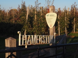 Hamerstuk en paal.JPG