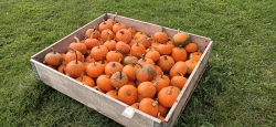 IMG20201002145214.jpg