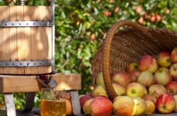 Pers met appels.jpg