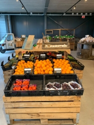 winkel 2.jpeg