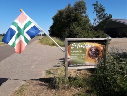 erfwinkel4.jpg