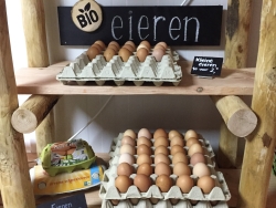 Eieren.jpg