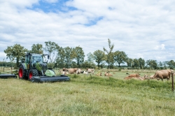 susantaks.fotografie-269.jpg