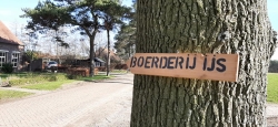 verwijsbordje ijs.jpg