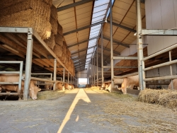 Boerderij Hoogenraad_Eetvandeboer (3).jpg