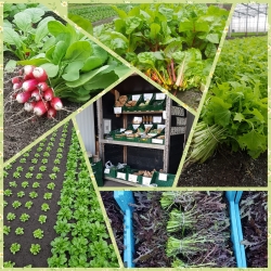 begin april groen en rood.jpg
