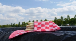 P1330605 - kopie.JPG