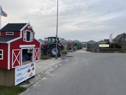 336578204_910294803614146_2994784152046167792_n.jpg