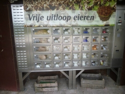 Boerderijwinkel Manders 3.jpg