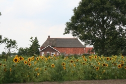 Foto_boerderij_header.JPG