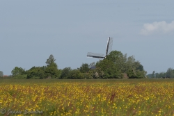 20190527 Oentsjerk _DSC2194.jpg
