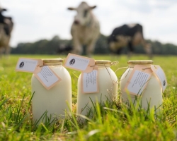 Boerderijzuivel-Health-Molke_4.jpg
