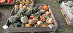 IMG20201002145135.jpg