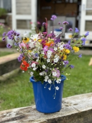 thumbnail_Bloemen.jpg