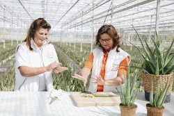 Excursie Dr. Green - zelf de mogelijkheden van Aloe vera gel ervaren.jpg