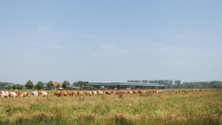 header foto google.jpg
