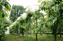 TerraVie-070.jpg
