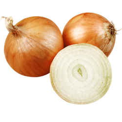 image2.png