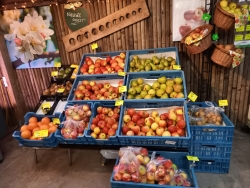 appels en peren.jpg
