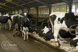 _X5A7754.jpg