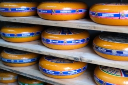 Assortiment 0.jpg