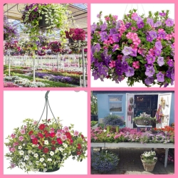 2021-03-21_11.01.32.jpg