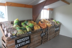Aardappelen en uien.JPG