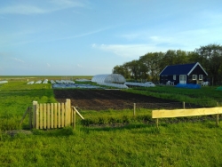 Tuin-mei-1024x768.jpg