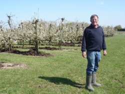 in de perenboomgaard.jpg