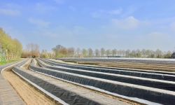 Aspergeveld met tunnels Smits De Heurne.jpeg